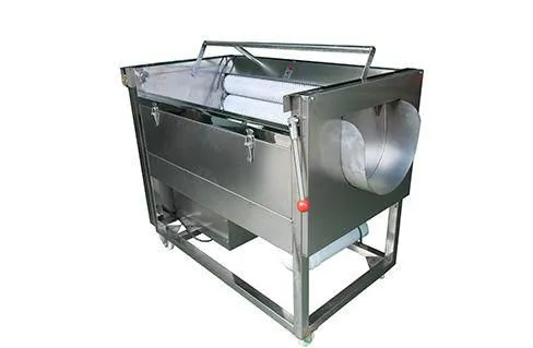 Factory Genyond Shanghai Automatic Steam Potato Peach Carrot Tomato Peeler Equipment Peeling Machine for Less Loss photo-4