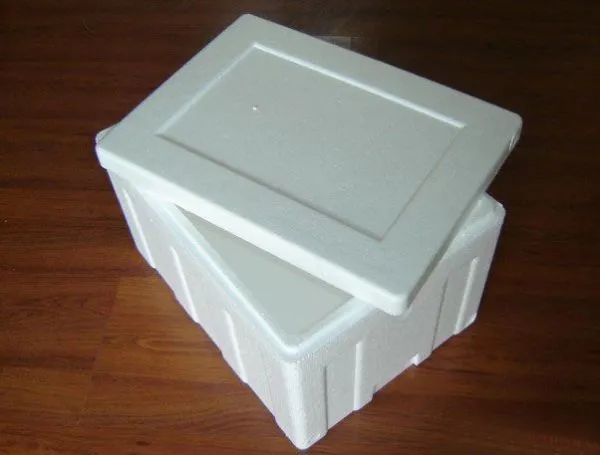 Foam Packaging