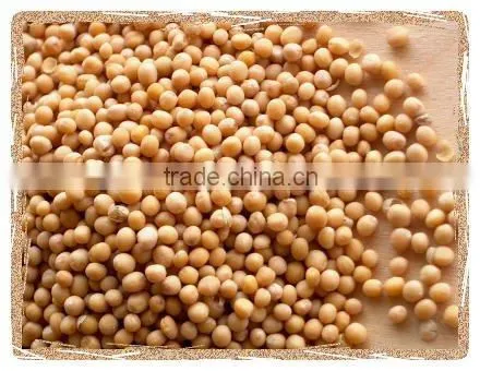 mustard seeds