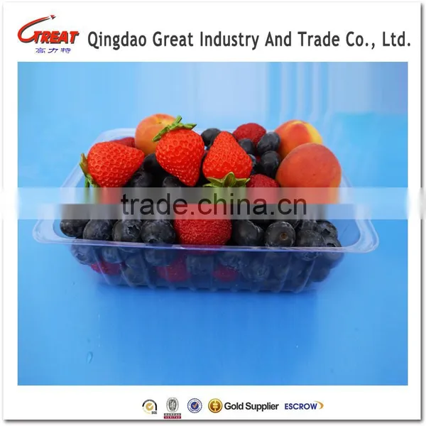 Clear Fruit Plastic Box Cherry Tomato Fruit Packaging Tray photo-3