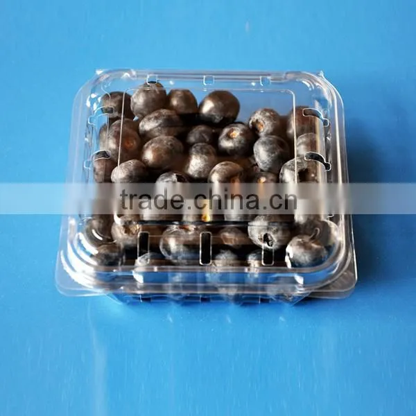 Fruit Packaging Container Food Storage Box Blueberry Packaging Punnet photo-2