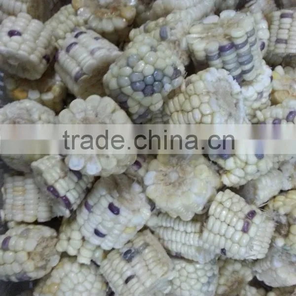 Frozen IQF Whole Sweet Corn and Cob photo-5