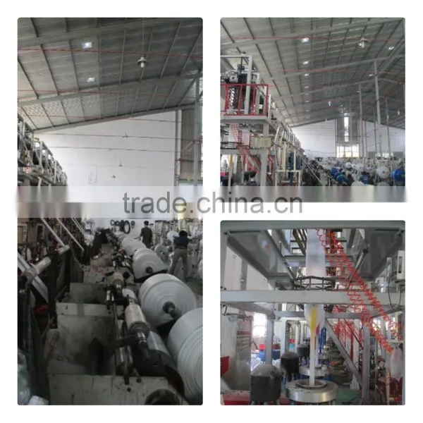 Plastic Bag on Roll at Factory photo-3