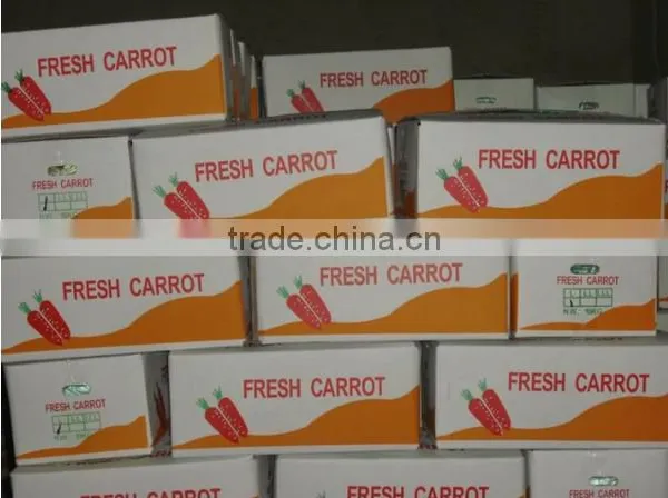 Chines Bulk Fresh Carrots Fresh Carrot Price photo-5