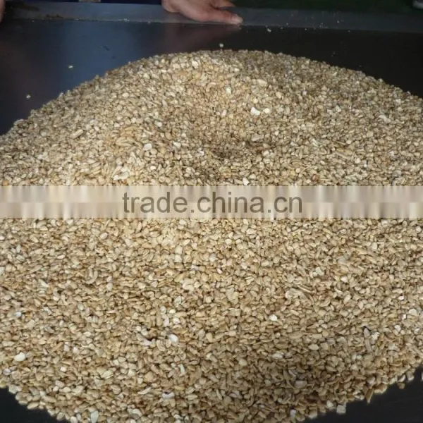 Vietnam Nutritious Cashew Nuts SP photo-3