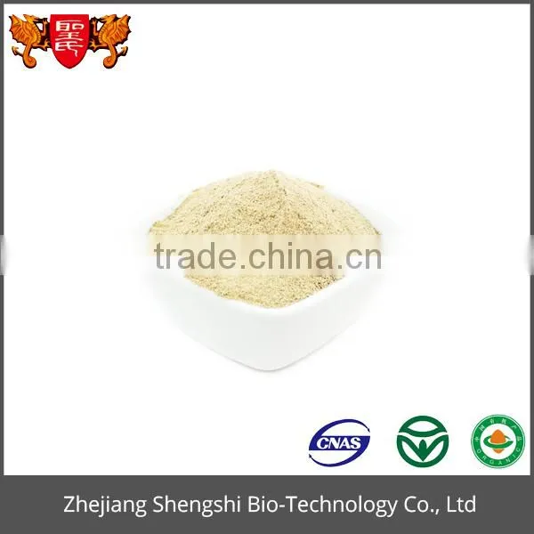 Factory Directly Supply Bilberry Powder photo-3