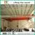 LH Model 3~20 Ton Lifting Machinery Electric Double Girder Overhead Crane photo-4