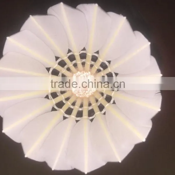 Best Quality Badminton Shuttlecock Manufacturer Wholesale photo-2
