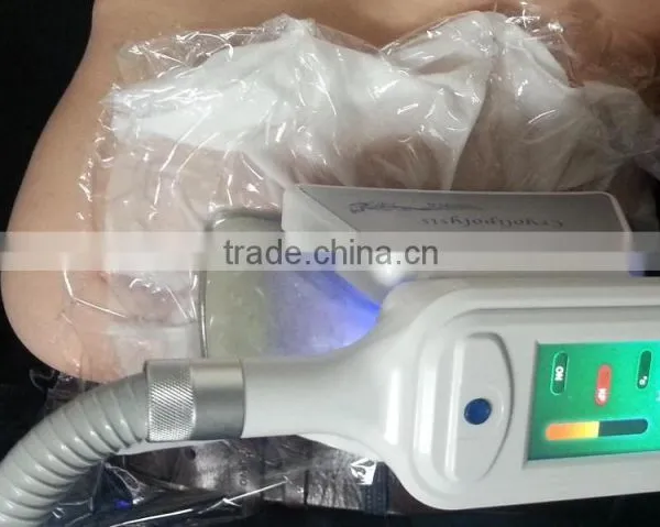 Cryolipolysis Weight Loss Machines From 500W Beauty Salon Equipment Supplier Body Shaping photo-4