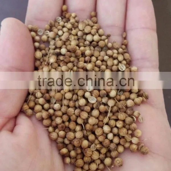 CORIANDER SEEDS photo-2
