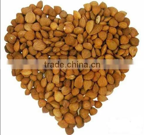 HPS Bitter Apricot Kernels / Sweet Almond photo-3