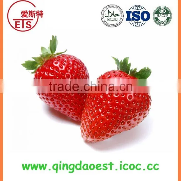 2016 New Crop Best Quality Fresh Strawberry for Sale photo-6