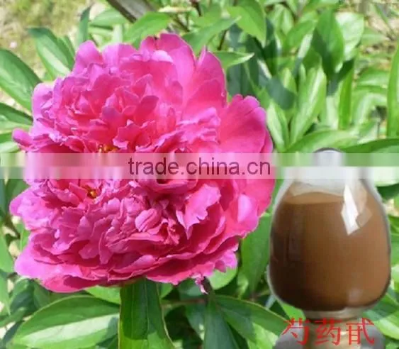 Natural White Peony Extract Paeoniflorin ISO, GMP, HACCP, KOSHER, HALAL Certificated. photo-2