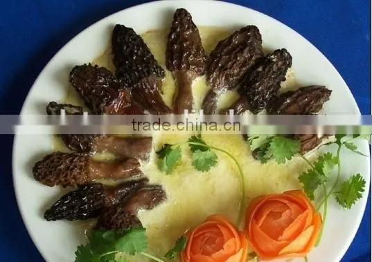 Dried Wild Morchella Conica photo-2