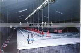 9KLK-36 Breeder Chicken Farming Chain Drive System