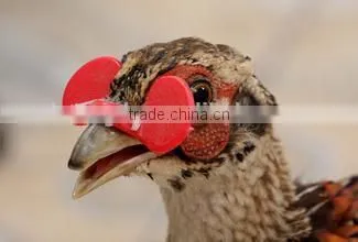 Chicken Glasses/protective Glasses/poultry Glasses