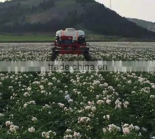 Diesel Engine 1000L Pesticide Rod Sprayer for Sale photo-4