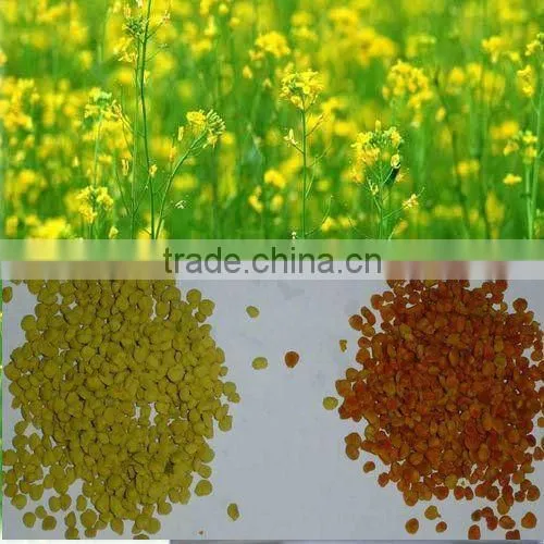China Factory 100% Grade A Mixed Rape BeePollen Supplier