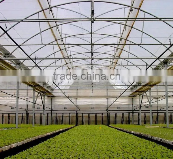 Plastic Sheet for Commercial Greenhouse photo-3