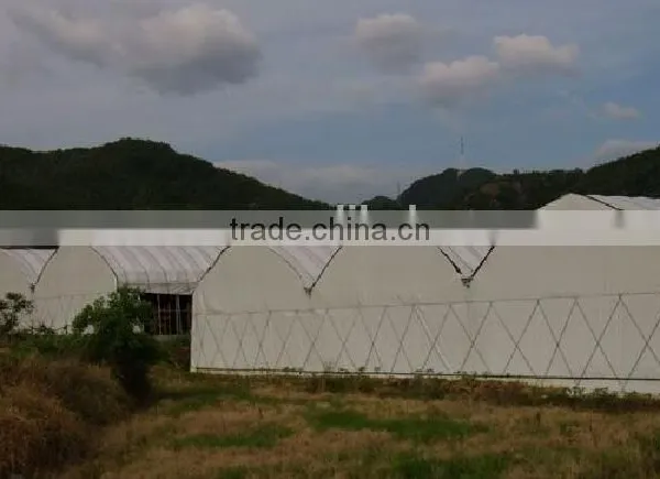 Farm Poultry Greenhouse Equipment for Sale photo-3
