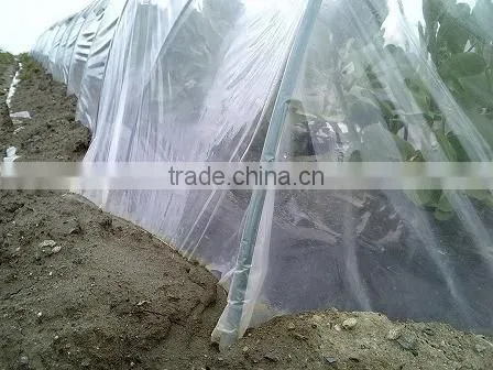 Garden Used Agricultural Greenhouse Tunnel Film on Sale photo-3