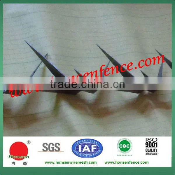 2013 High Security Sharp Wire Spikes Used for Security on Top of Wall & Fence photo-2