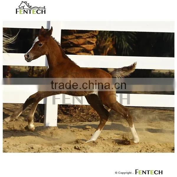 Cheap Field Fence,Cattle Rail Fence photo-3