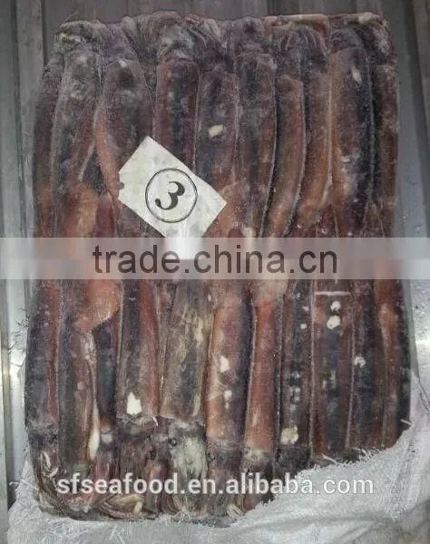 Fish Viet Nam of Illex Squid photo-2