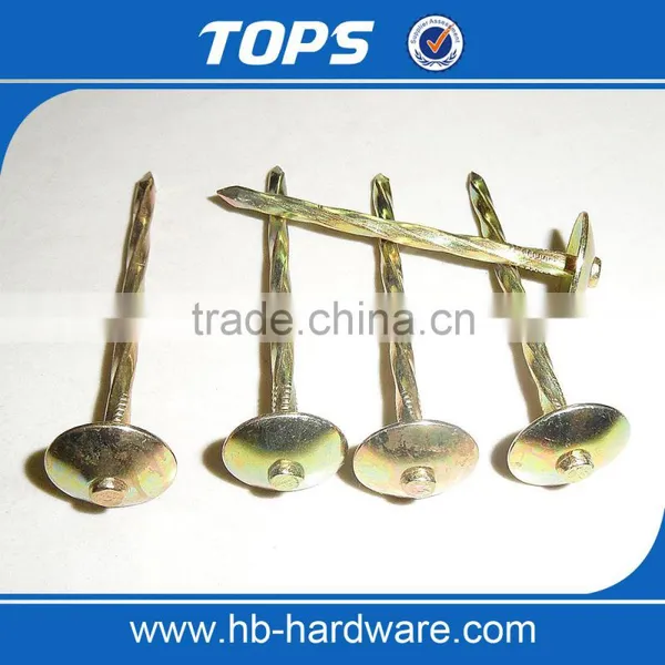 Galvanized Umbrella Head Roofing Nails With Smooth/Twist Shank by Low Price photo-2