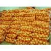 China Onion