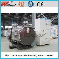 WDR Horizontal Electric Heating Steam Boiler photo-2