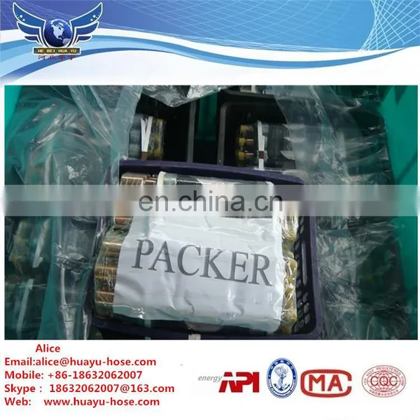 Coal Bed Drilling Seal Bore Packer photo-2