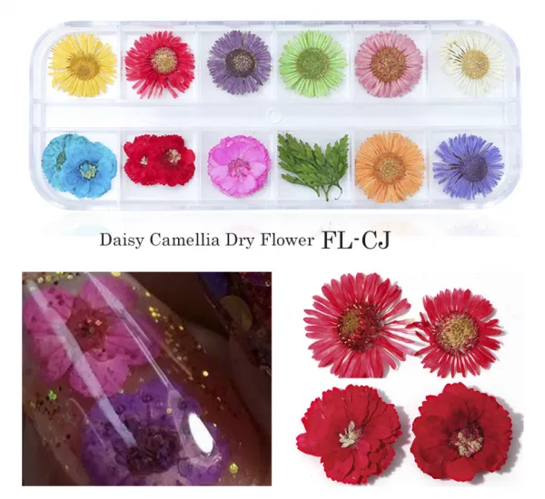 3d Nail Art Daisy Dry Flower Dried Flower Nail Art photo-3