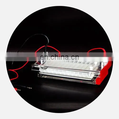 Popular DYCP-44N Quick Running Electrophoresis Cell for Identifying and Separating DNA photo-4
