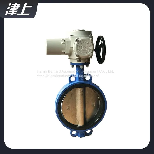 Partial Rotary Electric Actuator DN15 Wafer Butterfly Valve Actuator photo-4