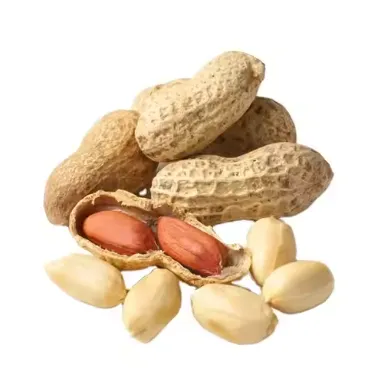 Factory Price Peanut Flavour Essence Powder for Baking Milk Beverage Etc. the Taste Is Real and Lasting