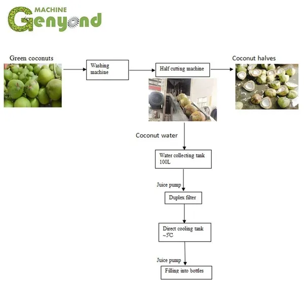Shanghai Factory Supplier Coconut Opener Coconut Half Cutting Machine Virgin Coconut Production Line photo-2