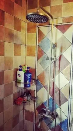 Other Shower Heads & Bathroom Shower Supplies