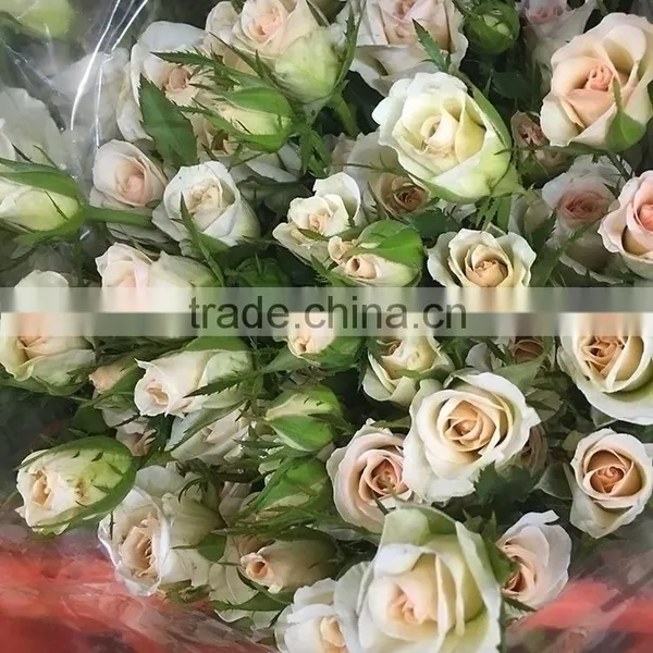 New OEM Fresh Rose Flower photo-4