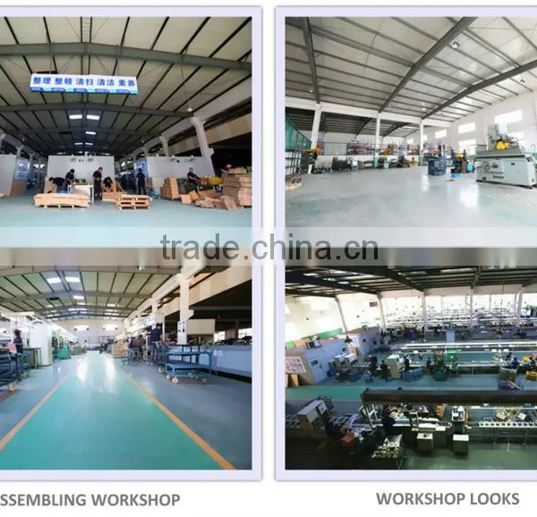 Copper Wire Washing Machine Motor photo-2