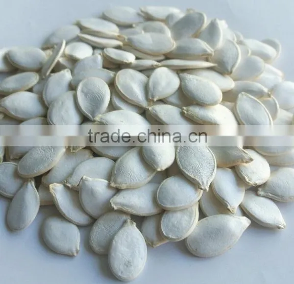 China,InnerMogolia,2015,high Quality,Green Snow White Pumpkin Seeds for Human Consumption photo-2