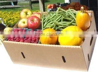Fruit Vegetable Packaging Paper Box for Shipping Supplier's Choice photo-5