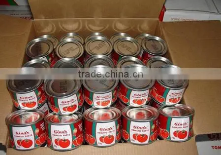 Tomato Ketchup, Factory Direct Sales, 70grams X100tins,Brix 24-26%,26-28%28-30% photo-3