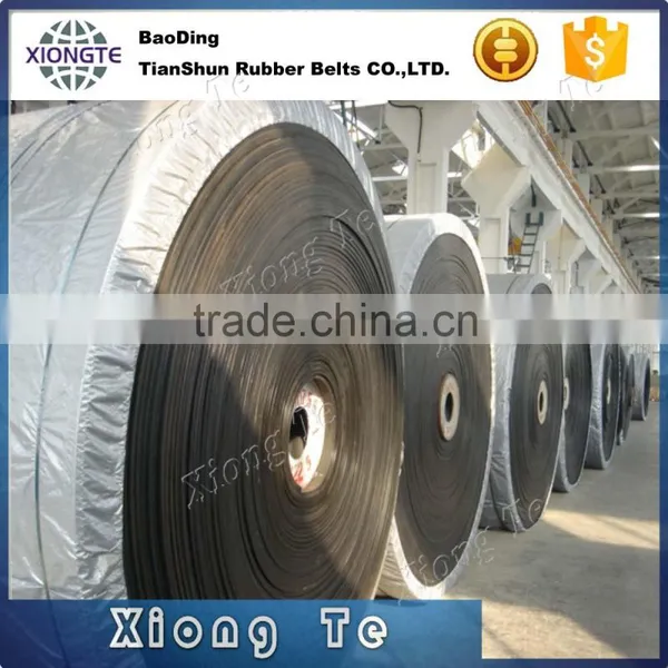 Conveyor Belt Used in Mining Mini Conveyor Belts Nylon Conveyor Belt photo-4