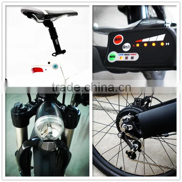 Seagull E-bike Li-ion Battery Case photo-5