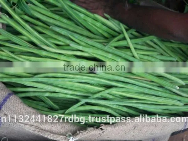 Fresh Indian Vegetables Exporter photo-4