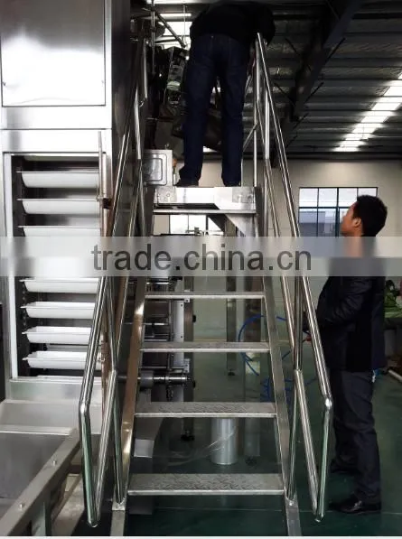 High Quality Automatic Vertical Apple Slice Packing Machine VFFS Machine photo-5