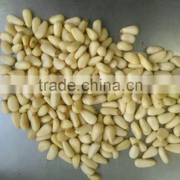 Chinese Pine Nut Kernels Small Bags photo-2