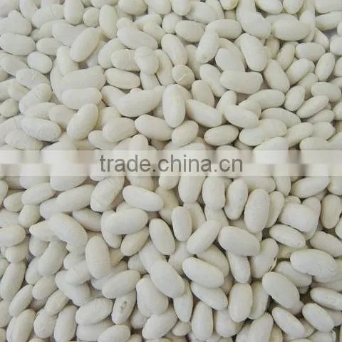New Crop White Kidney Bean White Bean Chinese Kidney Bean