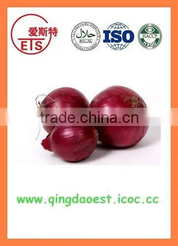 Export Chinese New Crop Fresh Red Onion photo-5